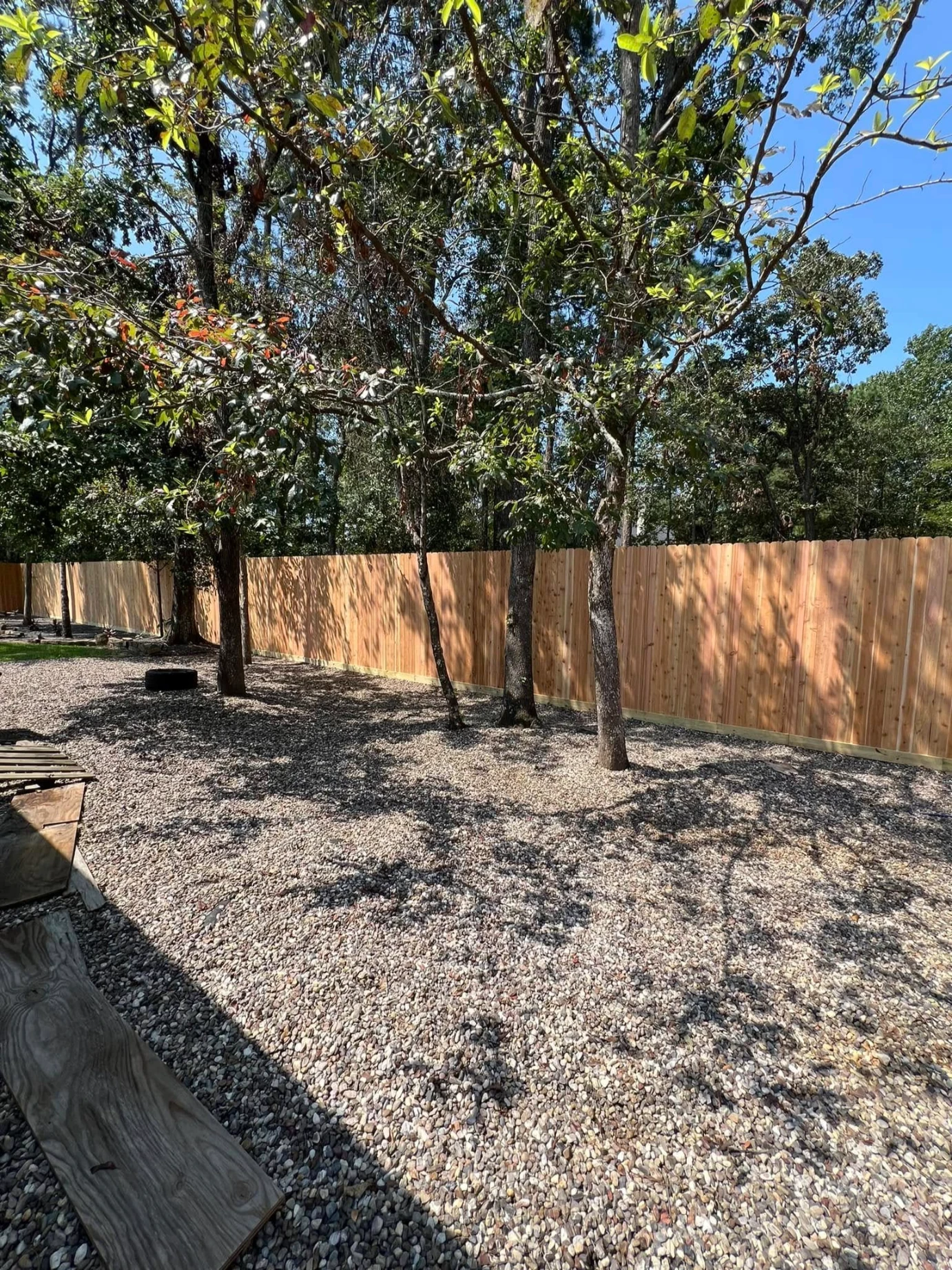 tree trimming and removal services